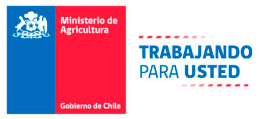 Nuestros clientes